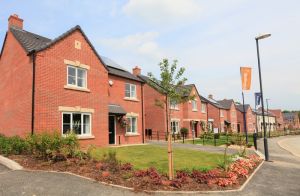 bellway meadows 16.jpg